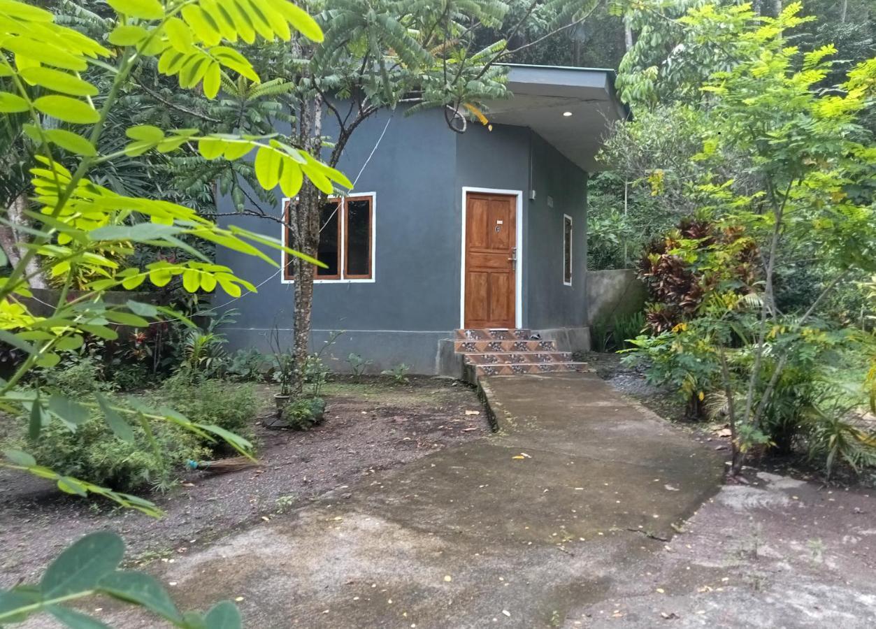Tangkoko Ranger Homestay 비퉁 외부 사진